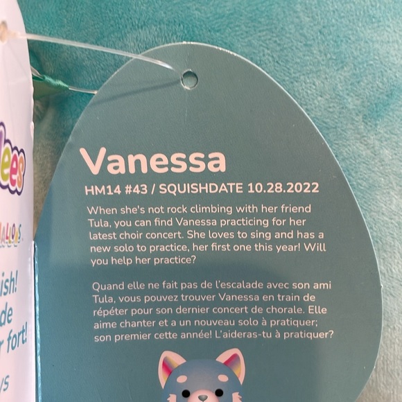 NWT 14” Vanessa the Red Panda with Rainbow Belly HUGMEES Squishmallow - Picture 6 of 6